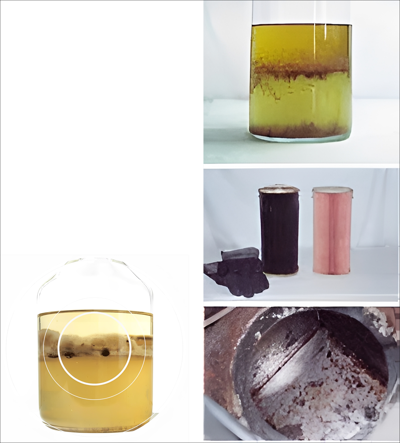 1 Bacterial Contamination (Algae) 2 Clogged Filter vs. Clean Filter 3 Leaky Pitted Fuel Tank.